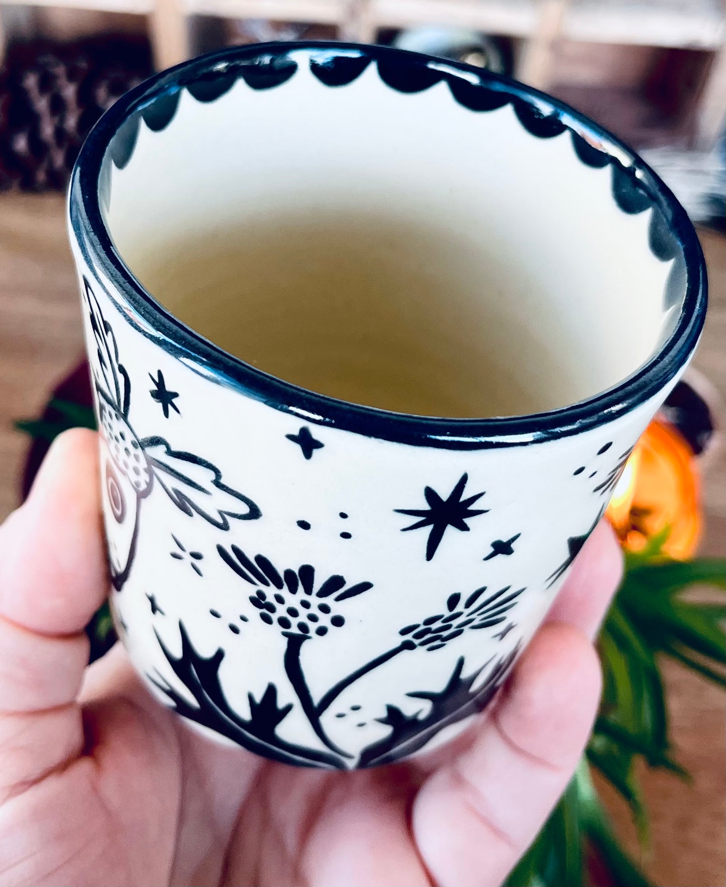 Moth Cup