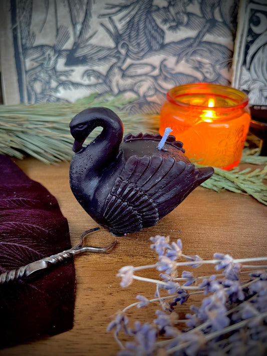 Swan Candle / black